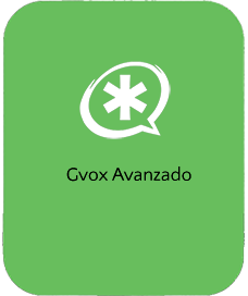 Gvox Avanzado
